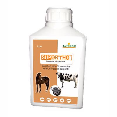 aurinko suportho-supports joint health