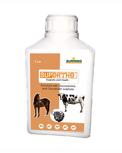 Suportho-Supports Joint Health-123456817