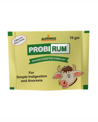 Probipro-A unique Protein Supplement with probiotics-123456813-M