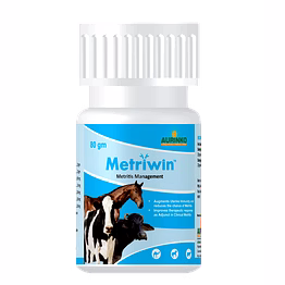 aurinko metriwin-a potent phytobiotic & immunomodulator against metritis