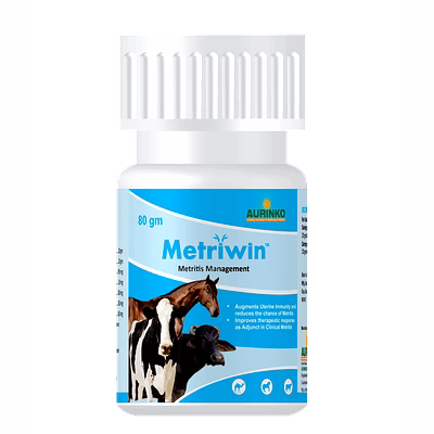 aurinko metriwin-a potent phytobiotic & immunomodulator against metritis