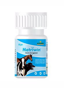 Metriwin-A Potent Phytobiotic & Immunomodulator Against Metritis
