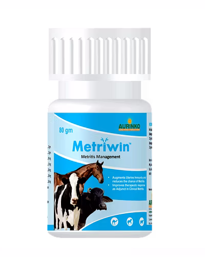 Metriwin-A Potent Phytobiotic &amp; Immunomodulator Against Metritis-123456810