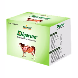 aurinko digerum-phytoactive for rumen care