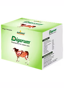 Digerum-Phytoactive for rumen care