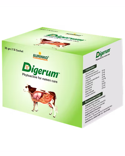 Digerum-Phytoactive for rumen care-123456801