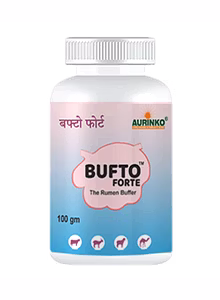 Bufto forte-The Rumen Buffer