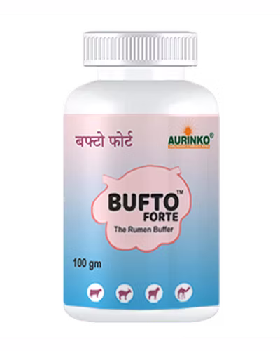 Bufto forte-The Rumen Buffer-123456799-S