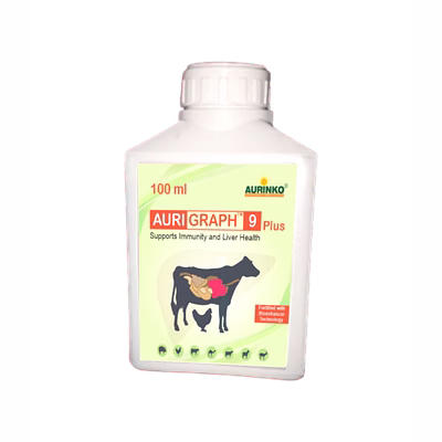 aurinko aurigraph 9 plus-supports immunity and liver health