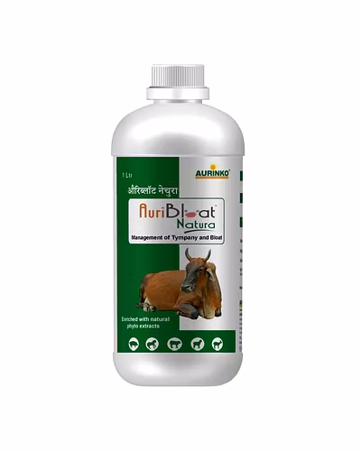 Auribloat Natura-Management of Tympany and Bloat-123456774-M