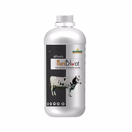 aurinko auribloat-management of tympany and bloat