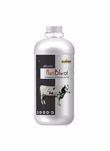 Auribloat-Management of Tympany and Bloat