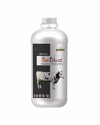 Auribloat-Management of Tympany and Bloat-123456773-M
