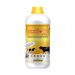 aurinko aurocal plus gold-premium calcium supplementation for high milk yield and mastitis prevention