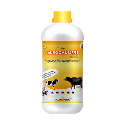 aurinko aurocal plus gold-premium calcium supplementation for high milk yield and mastitis prevention