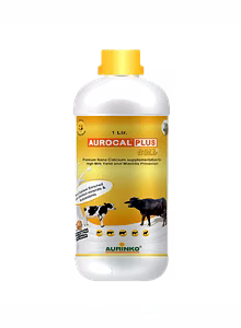 Aurocal Plus gold-Premium Calcium supplementation for High Milk Yield and Mastitis Prevention