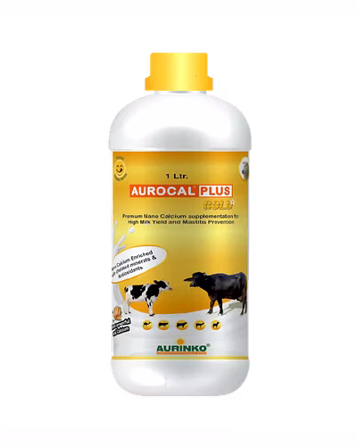 Aurocal Plus gold-Premium Calcium supplementation for High Milk Yield and Mastitis Prevention-123456767-M