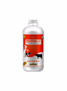 Aurocal Plus-Powerful Calcium Supplementation for High Milk Yield, Better Health & Mastitis Prevention