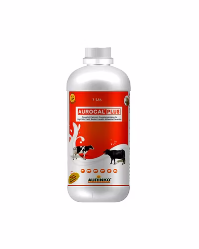 Aurocal Plus-Powerful Calcium Supplementation for High Milk Yield, Better Health &amp; Mastitis Prevention-123456766-M