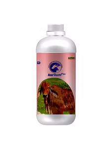 Aurilum Plus-Antiviral Support Against Lumpy Skin Disease