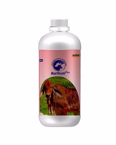 Aurilum Plus-Antiviral Support Against Lumpy Skin Disease-123456764-M
