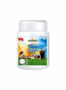 Auro milk plus-Premium Galactogogue Enrihed with Rumen Protected Nanominerals