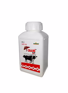 Ferauri Plus-Powerful Hematinic and Hepato-protectant