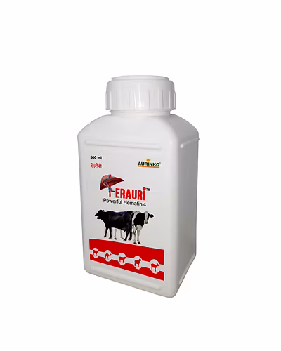 Ferauri-Powerful Hematinic-123456756-S