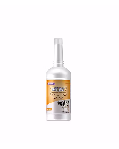 Drylact-Optimizes Dry Period In Lactating Animals-123456754