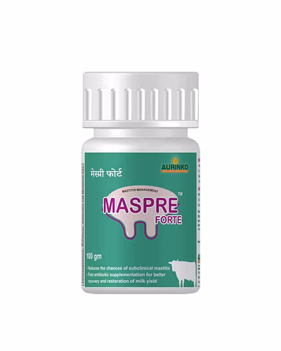 Maspre Forte-Novel Formulation for Management of Mastitis-123456751