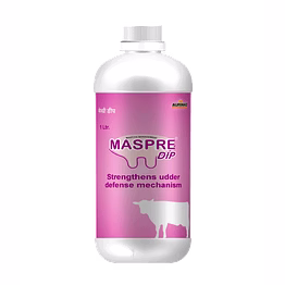 aurinko maspre dip-strengthens udder defense mechanism