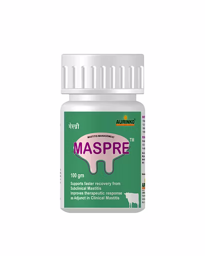 Maspre-Novel Formulation for Management of Mastitis-123456749