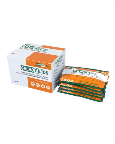 Salacgil DS-Potentiated Probiotics, Prebiotic, Vitamin Amino Acid &amp; Trace Minerals Digestive Powder-123456746