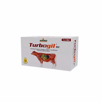 aurinko turbogil vet-potentiated probiotics, prebiotic, vitamins, trace minerals, enzymes & digestive bolus