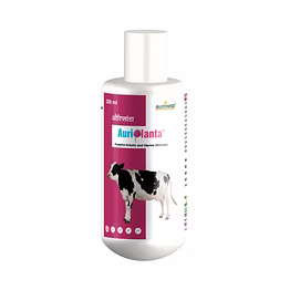 aurinko auriplanta-powerful ecbolic and uterine stimulant