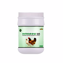 aurinko metagrow ws-postbiotic growth promoter for broilers