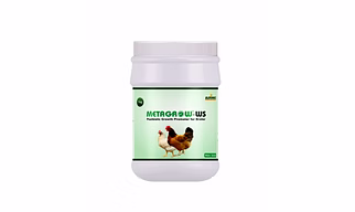 Metagrow ws-Postbiotic growth promoter for broilers