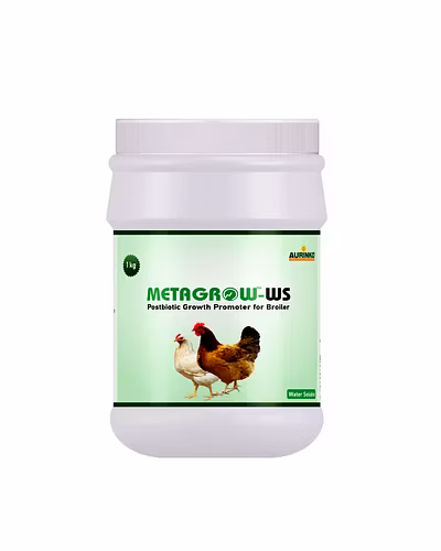 Metagrow ws-Postbiotic growth promoter for broilers-123456822-L
