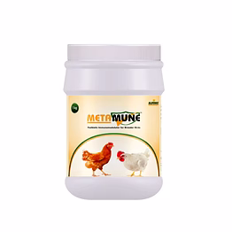 aurinko metamune-postbiotic immunomodulator for breeder birds
