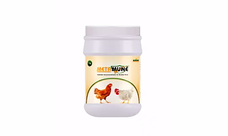 Metamune-Postbiotic immunomodulator for breeder birds