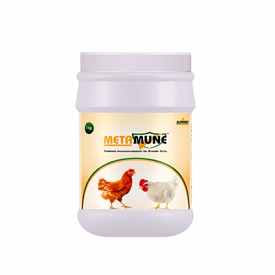 aurinko metamune-postbiotic immunomodulator for breeder birds