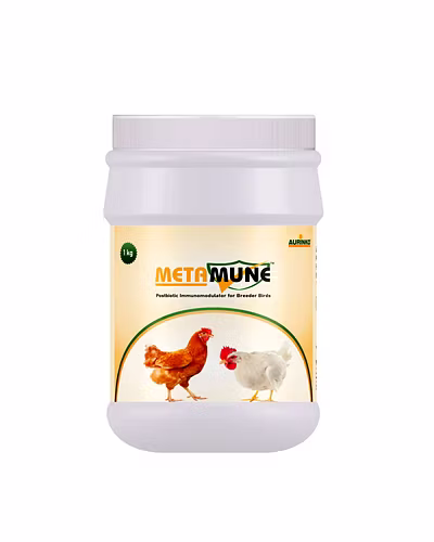 Metamune-Postbiotic immunomodulator for breeder birds-123456823-L