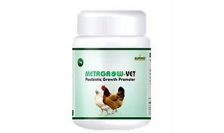 Metagrow-Vet is a postbiotic blend enriched with enzymes, metabolic activators, antioxidants and immunogens of Saccharomyces and Bacillus probiotics.