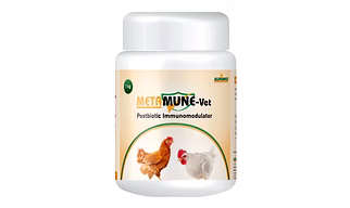 Metamune-Vet is a postbiotic blend enriched with antioxidant and immune-boosting metabolites of Lactobacillus, Streptococcus and Bifidobacterium probiotics