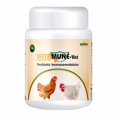aurinko metamune-vet is a postbiotic blend enriched with antioxidant and immune-boosting metabolites of lactobacillus, streptococcus and bifidobacterium probiotics