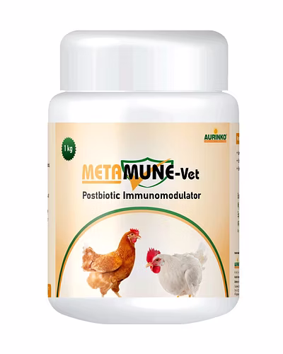 Metamune-Vet is a postbiotic blend enriched with antioxidant and immune-boosting metabolites of Lactobacillus, Streptococcus and Bifidobacterium probiotics-123456825-L