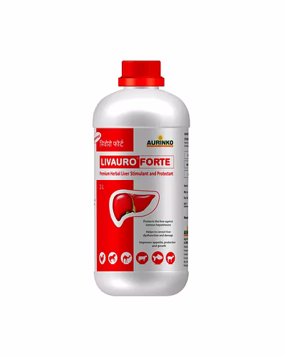 Livauro forte Poultry-Premium Herbal Liver Stimulant and Protectant-123456827-S