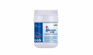 Auripro gut-Complete gut care with synbiotics