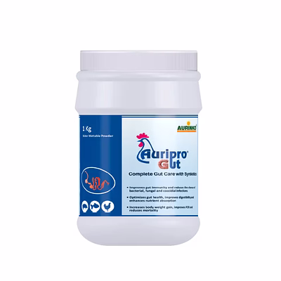 aurinko auripro gut-complete gut care with synbiotics