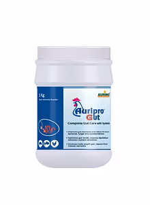 Auripro gut-Complete gut care with synbiotics